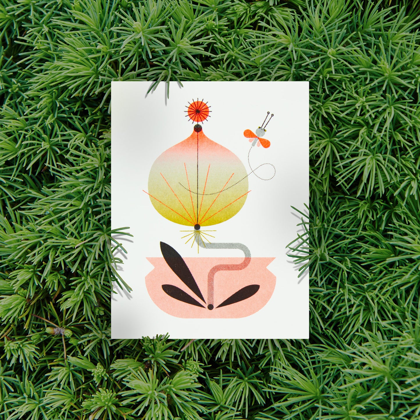 Illustration of a stylized flower and a dragonfly on a white background surrounded by green foliage