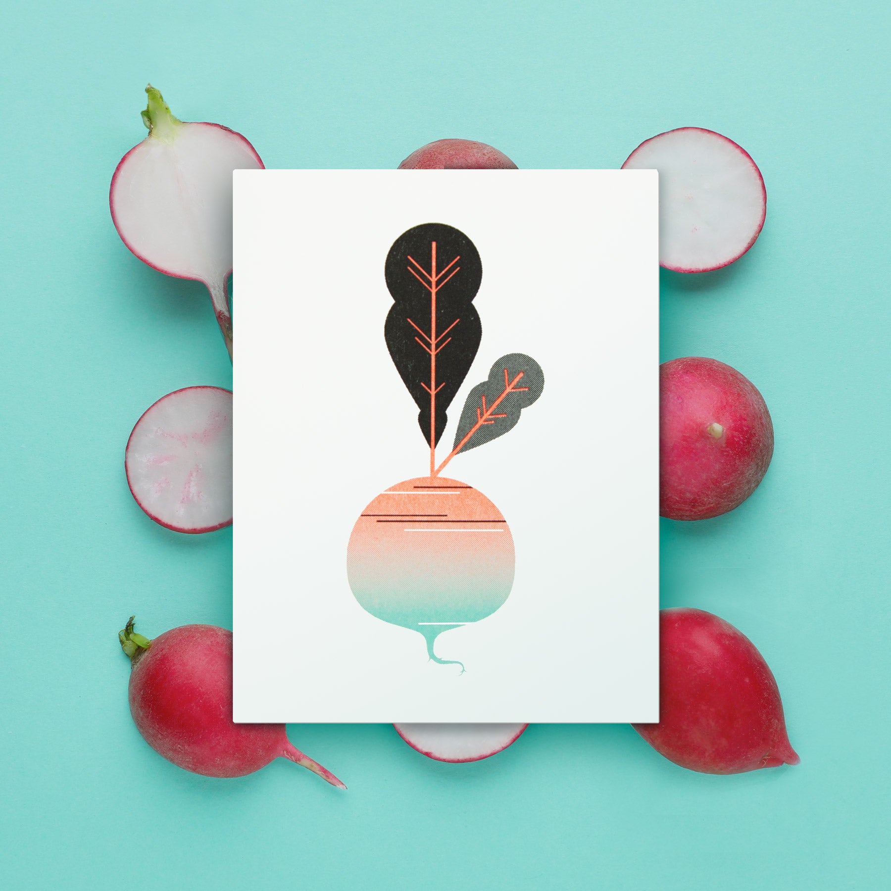 Illustration of a radish surrounded by real radishes on a turquoise background