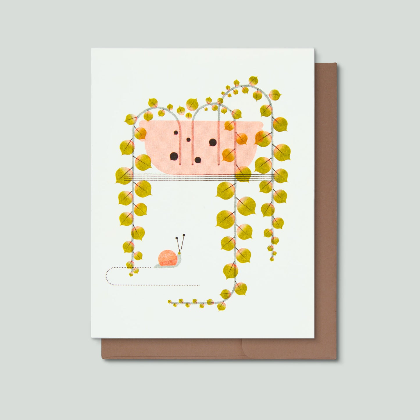 Greeting card with a green plant in a pink bowl with a snail on a white background