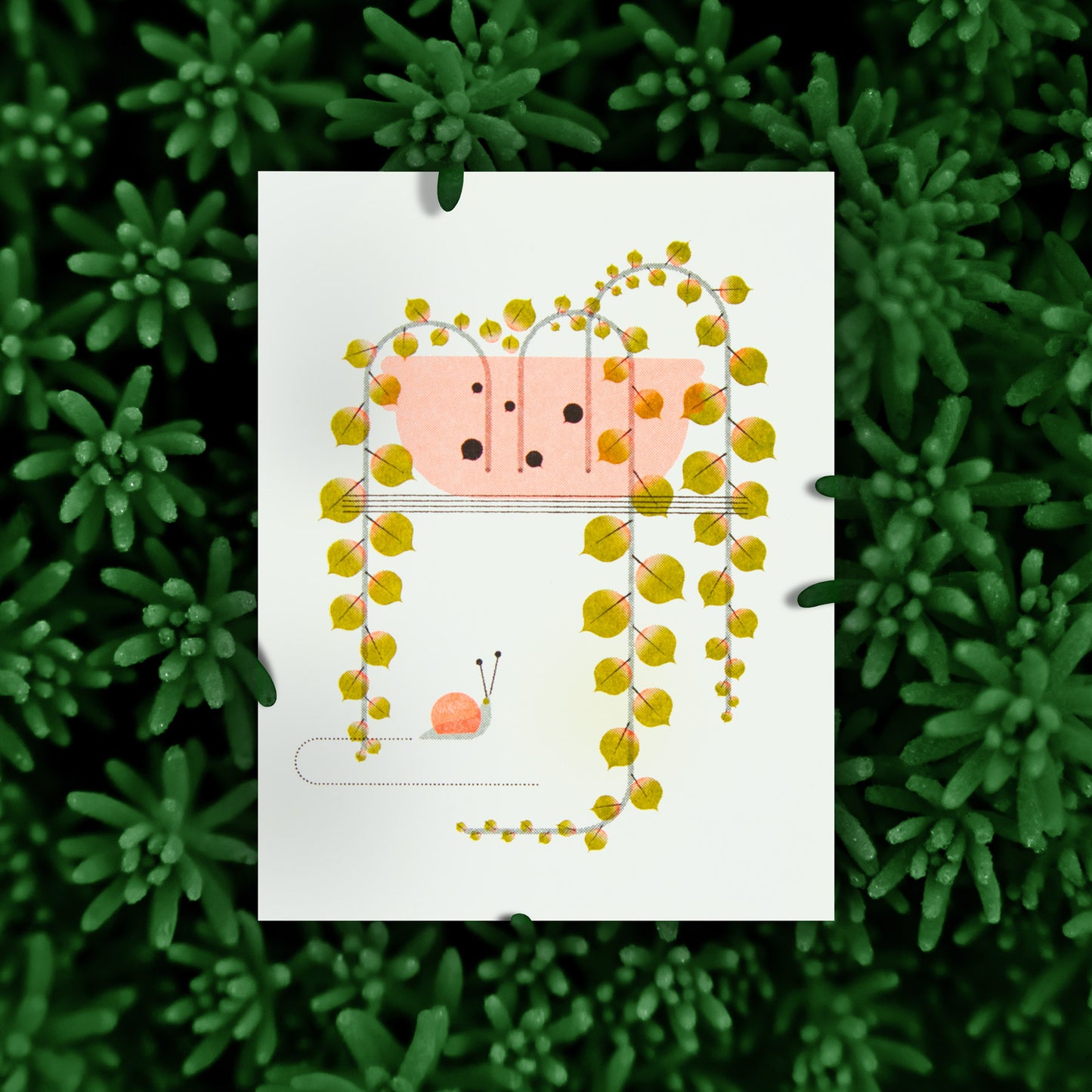 Illustration of a green plant with a pink snail on a white greeting card, placed on green foliage.
