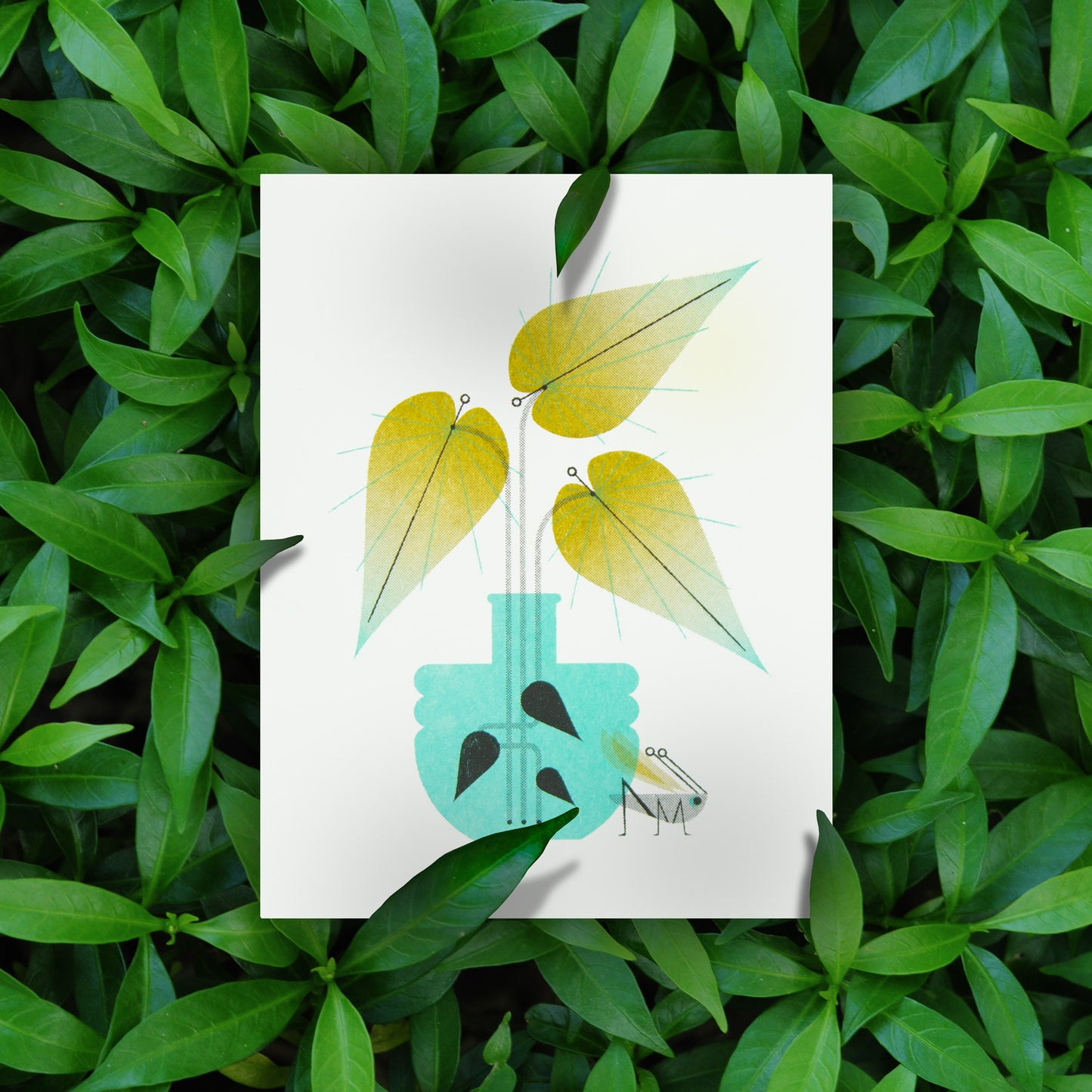 Cricket & Leafy Plant Risograph Greeting Card
