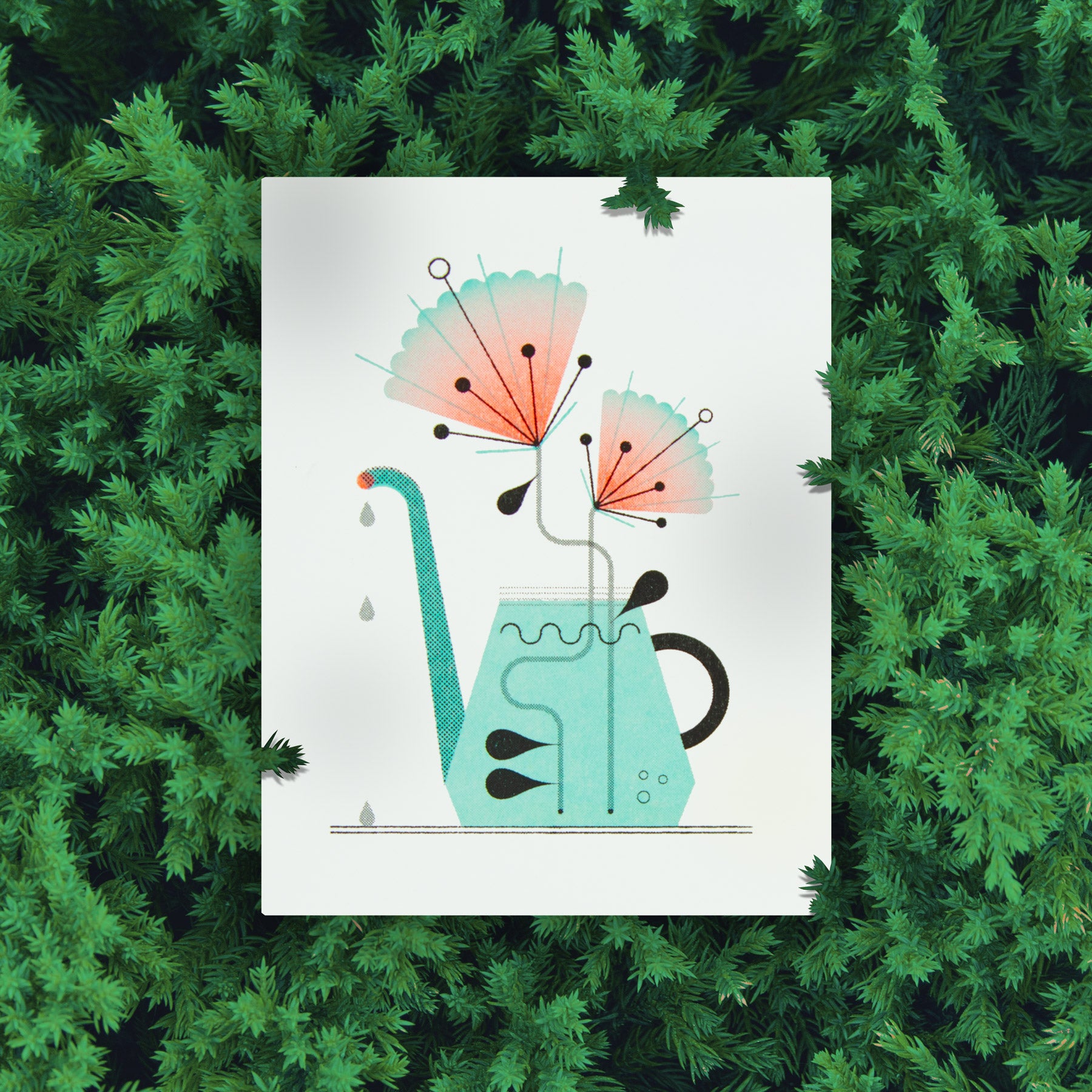 Illustration of a watering can with flowers on a white background, surrounded by green foliage.