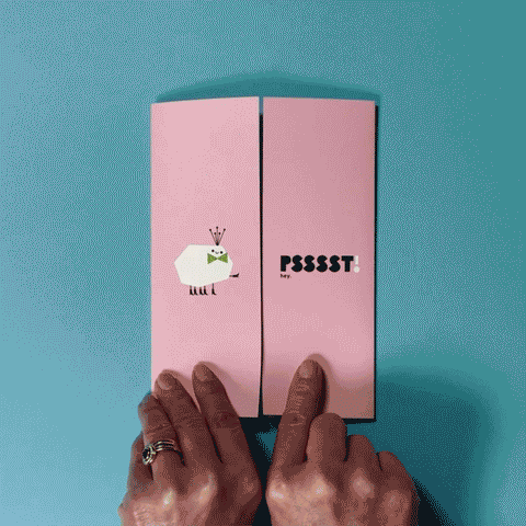 Surprise Spider Hug Gatefold Greeting Card